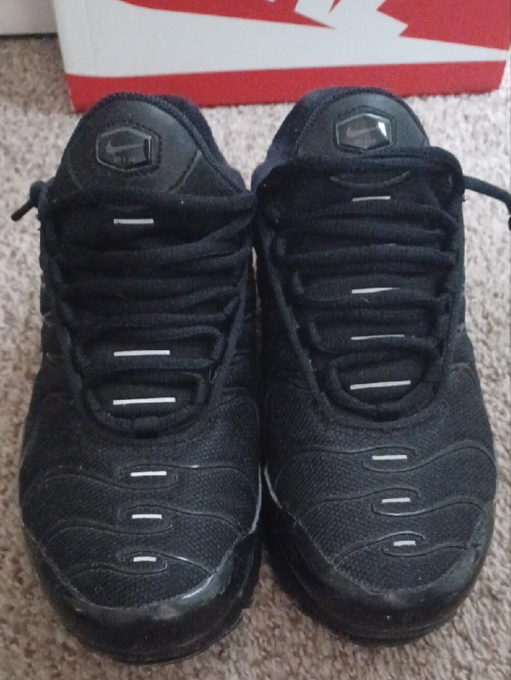 Nike Air Max Plus Sneakers View 2